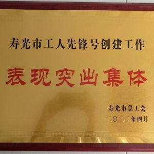 表現(xiàn)突出集體