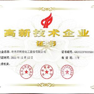 技術(shù)企業(yè)